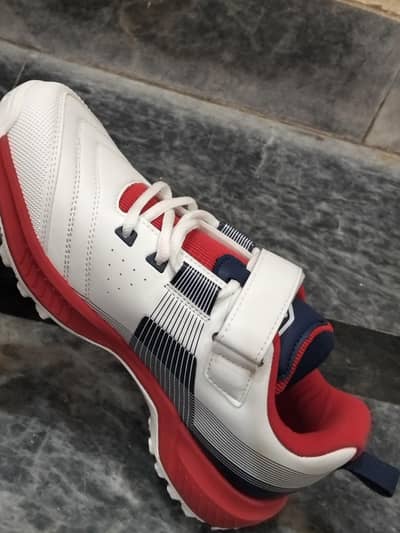solm8 cricket / spots shoes size 08 number (top condition) unused
