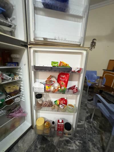 freeze sale