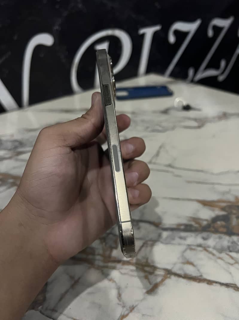 Apple iPhone 13 Pro Max 1