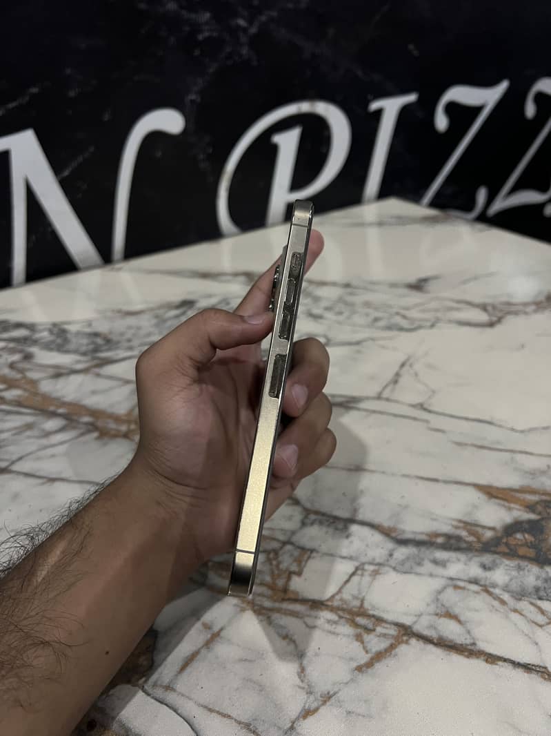 Apple iPhone 13 Pro Max 3