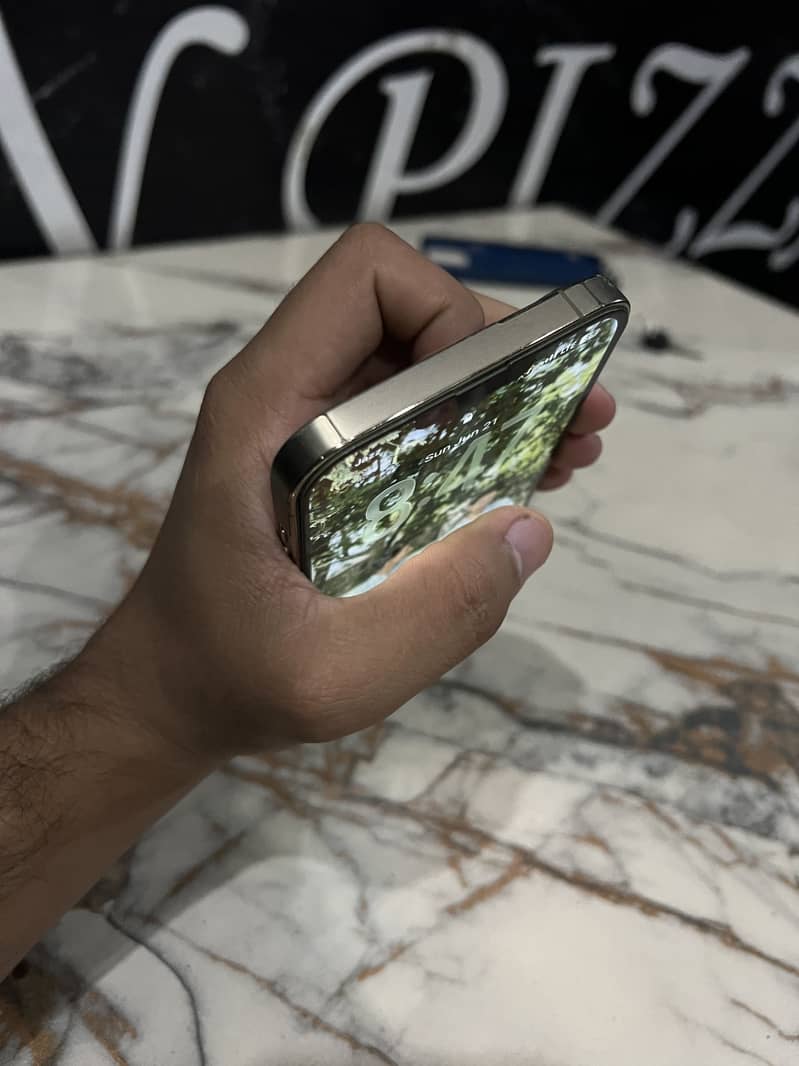 Apple iPhone 13 Pro Max 6