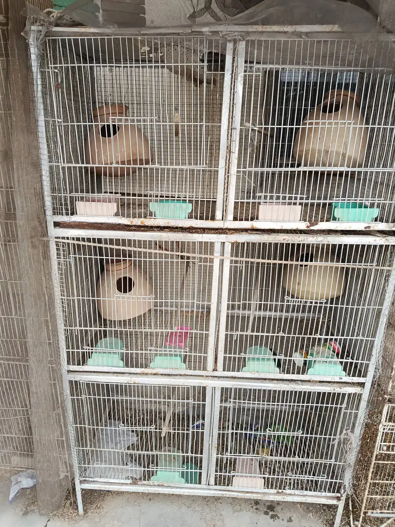 cage for sale — photo 2