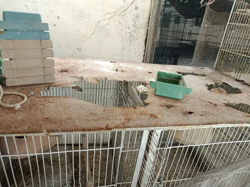 cage for sale — photo 3