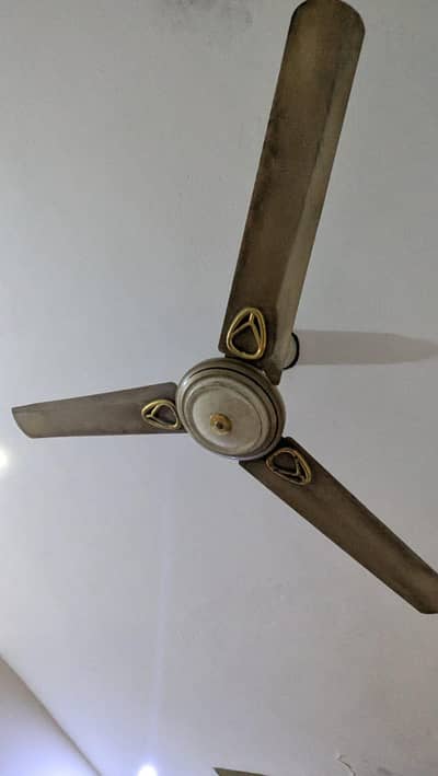 3 ceiling fans