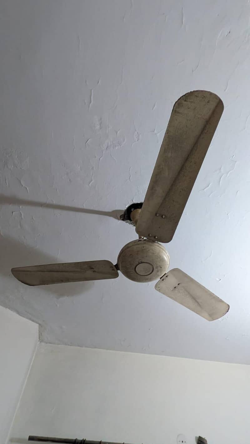 3 ceiling fans 1