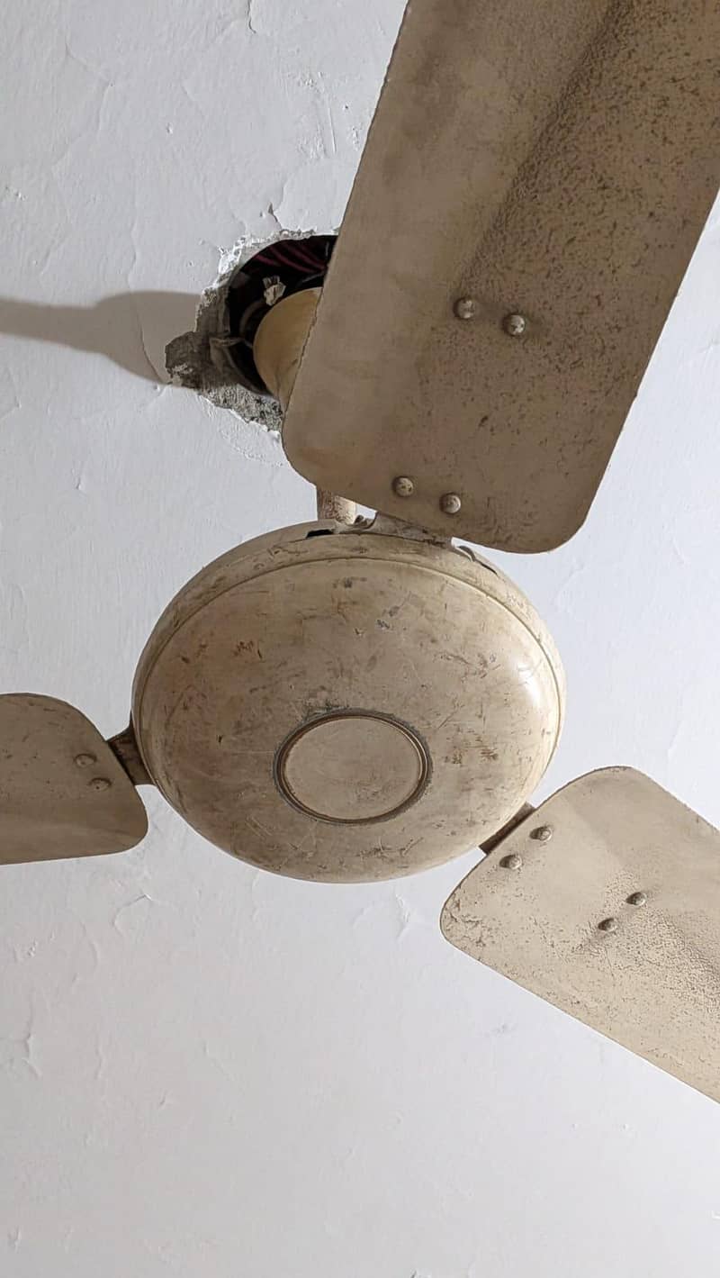 3 ceiling fans 2