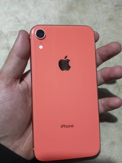 iPhones xr
