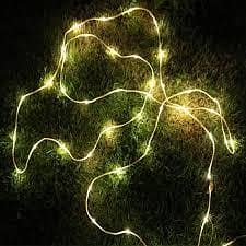 Fairy Lights