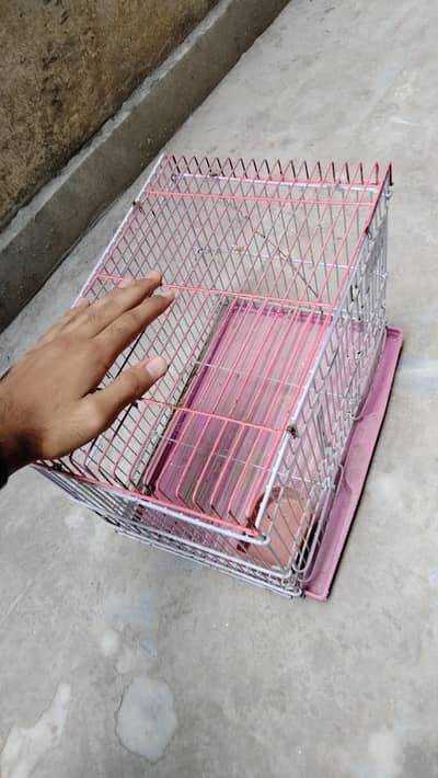 small cage for finches , budgies and lovebirds . . . in minimum rate