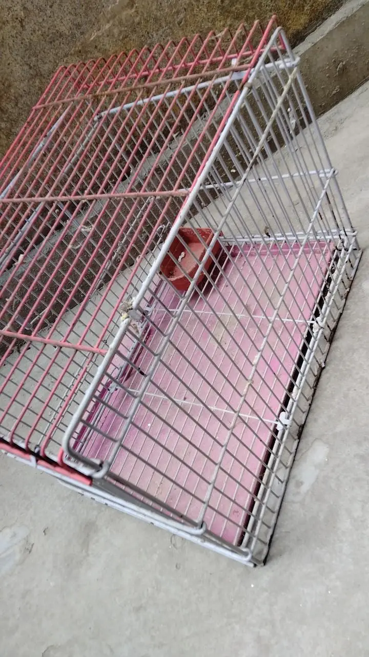 small cage for finches , budgies and lovebirds . . . in minimum rate — photo 2