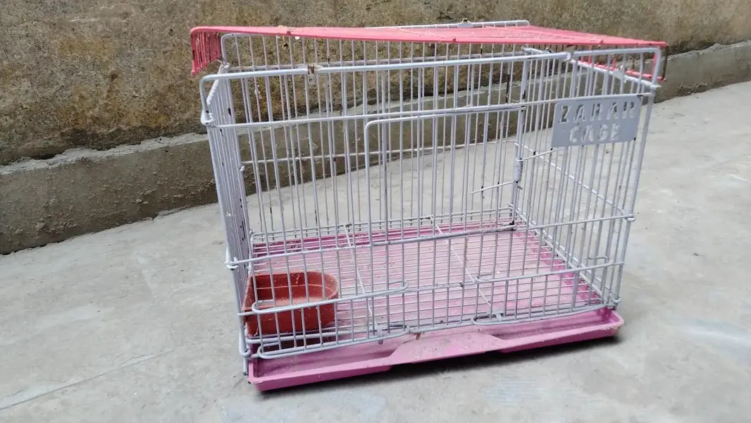 small cage for finches , budgies and lovebirds . . . in minimum rate — photo 3