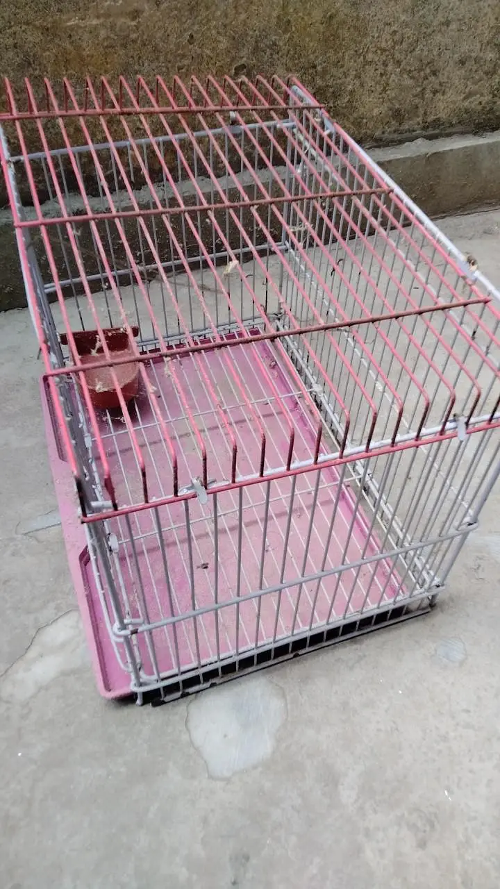 small cage for finches , budgies and lovebirds . . . in minimum rate — photo 4