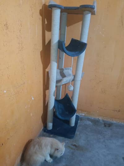 4 steps scresher for sale