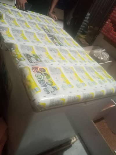 Deep freezer for commercial sale