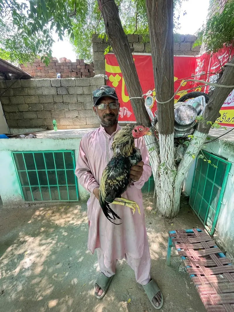 miyawaliaseel — photo 6