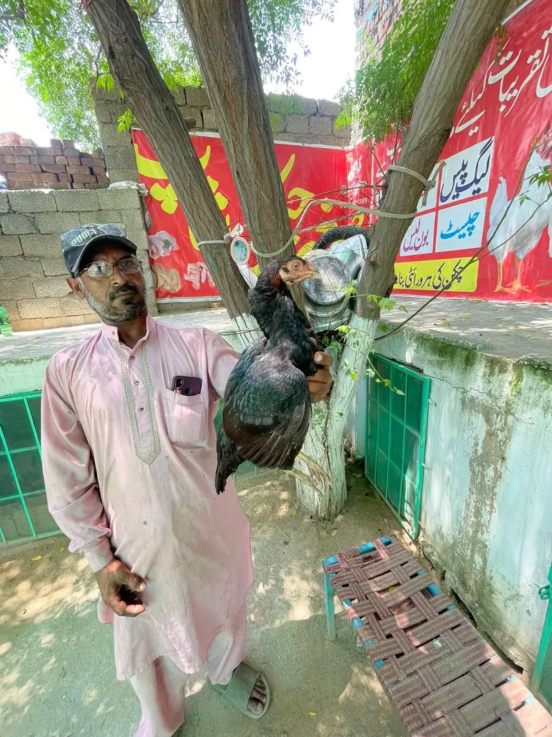 miyawaliaseel — photo 7
