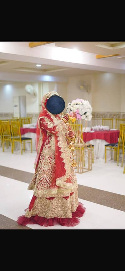 bridle Lehnga urgent sale