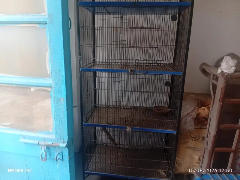 cages  Available For Sale — photo 2