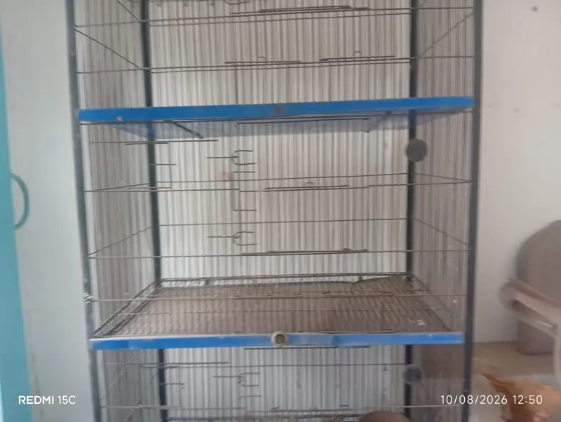 cages  Available For Sale — photo 5