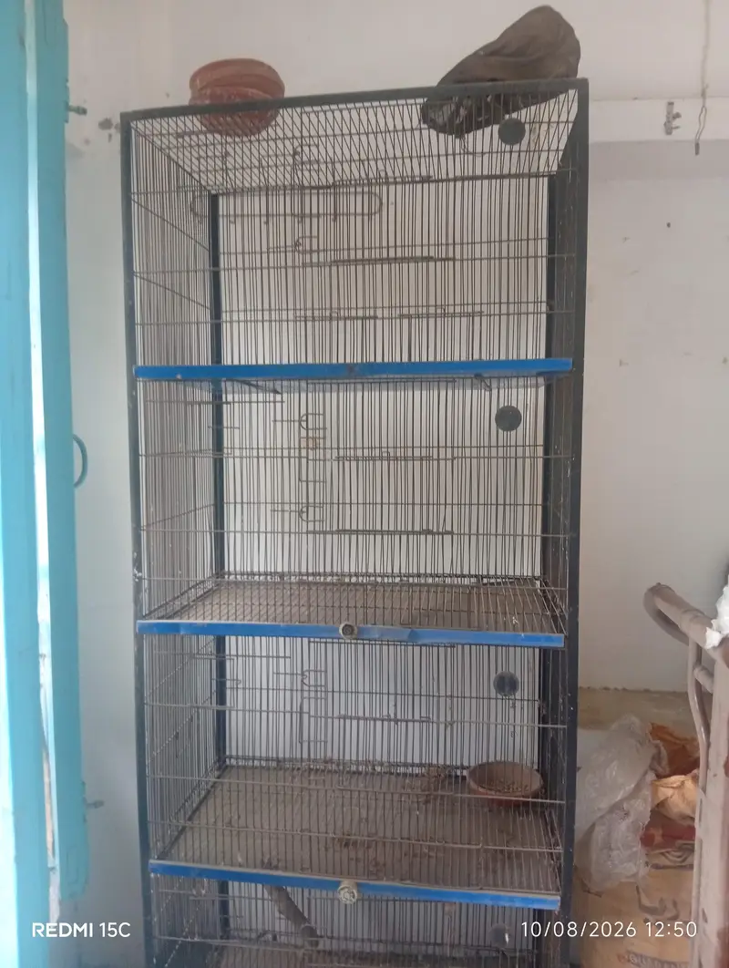 cages  Available For Sale — photo 7