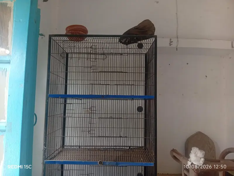 cages  Available For Sale — photo 8