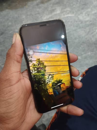 Apple iPhone X