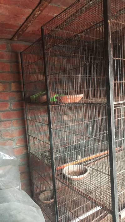Large 6 feet cage