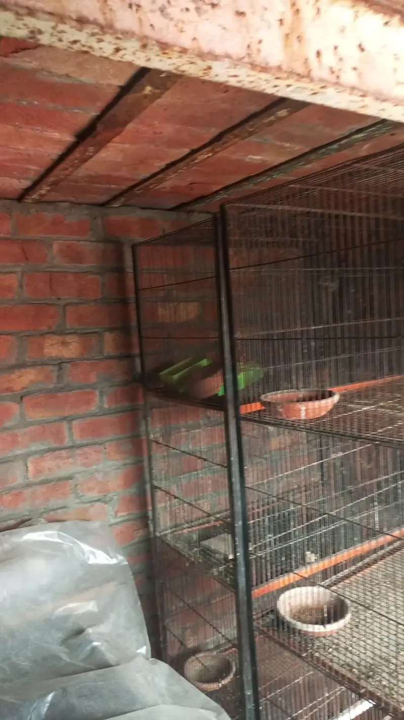 Large 6 feet cage — photo 2