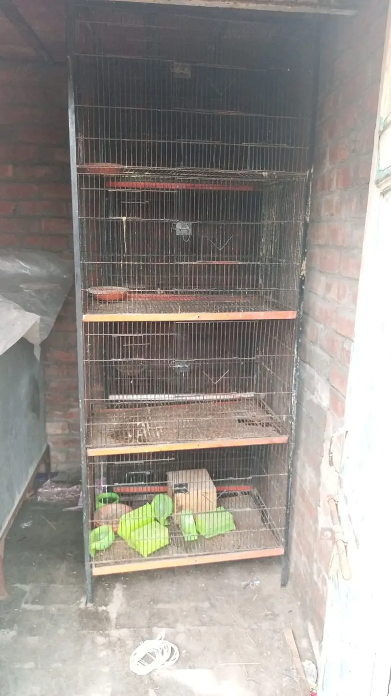 Large 6 feet cage — photo 3