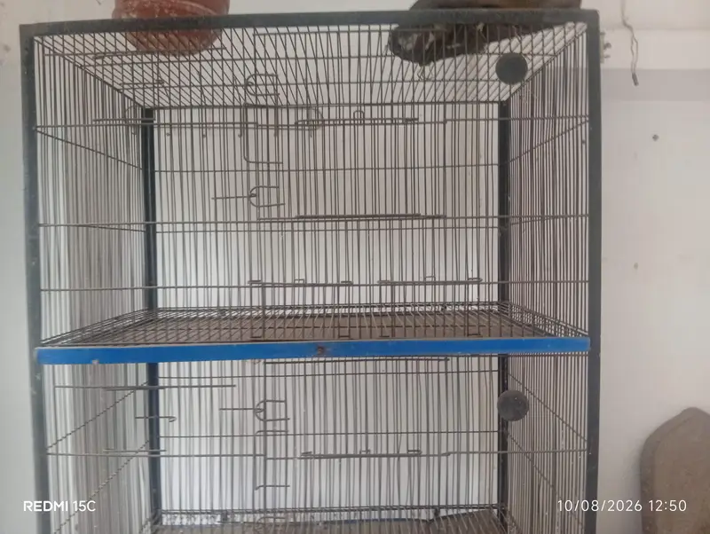 Cages Available for sale — photo 2