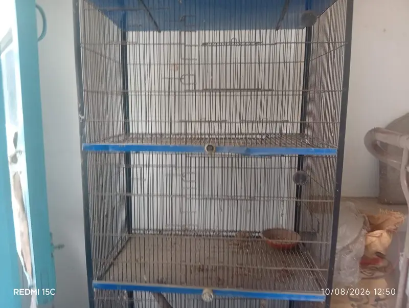 Cages Available for sale — photo 4