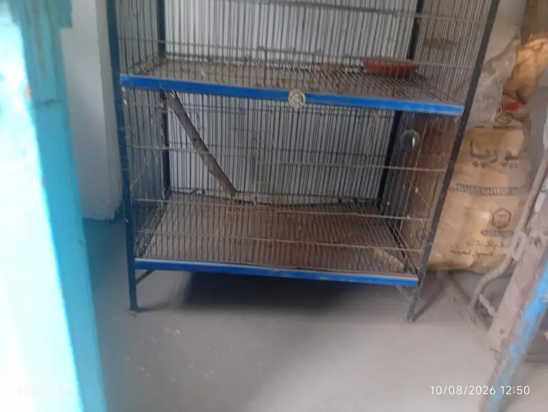 Cages Available for sale — photo 5