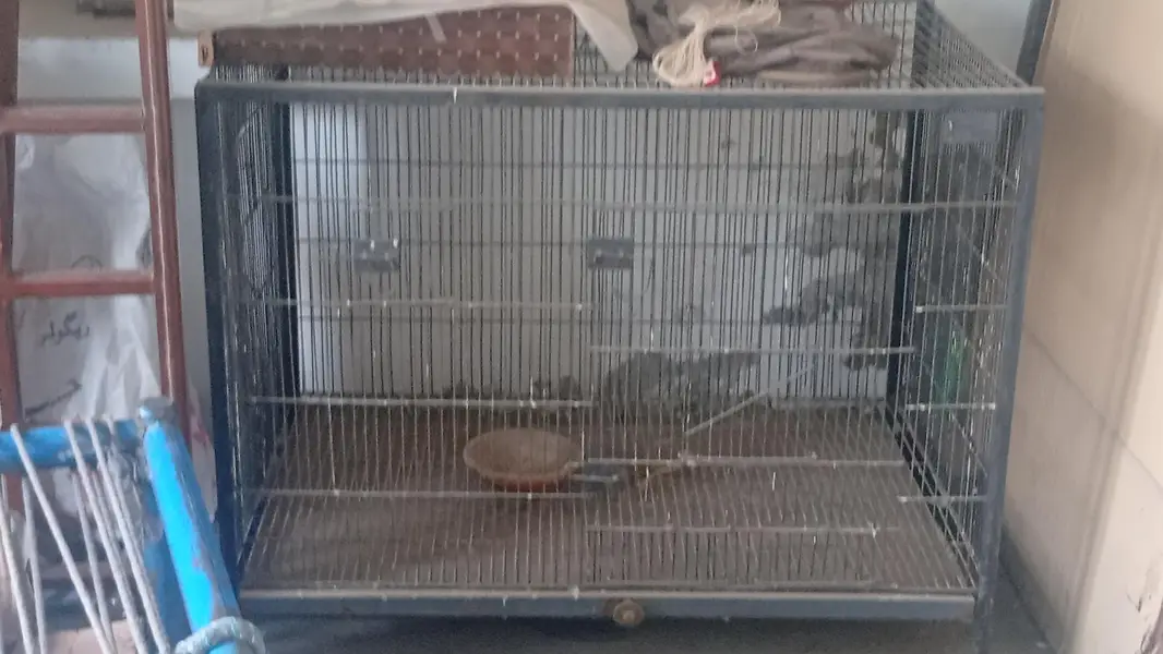 Cages Available for sale — photo 7