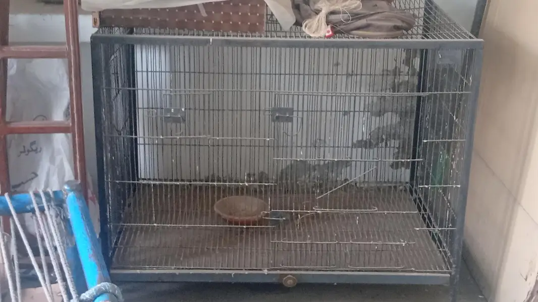 Cages Available for sale — photo 8