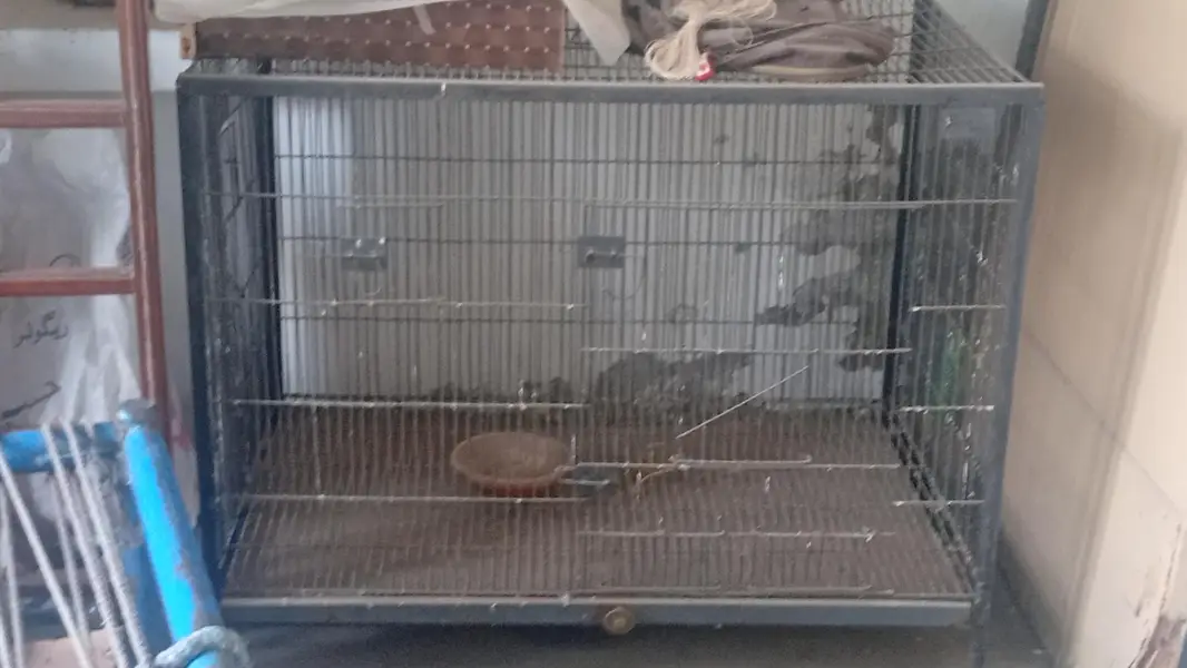 Cages Available for sale — photo 9