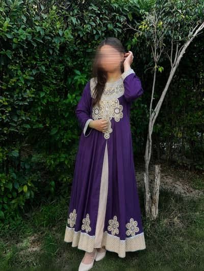 Elegant Embroidered Party Wear Dresse