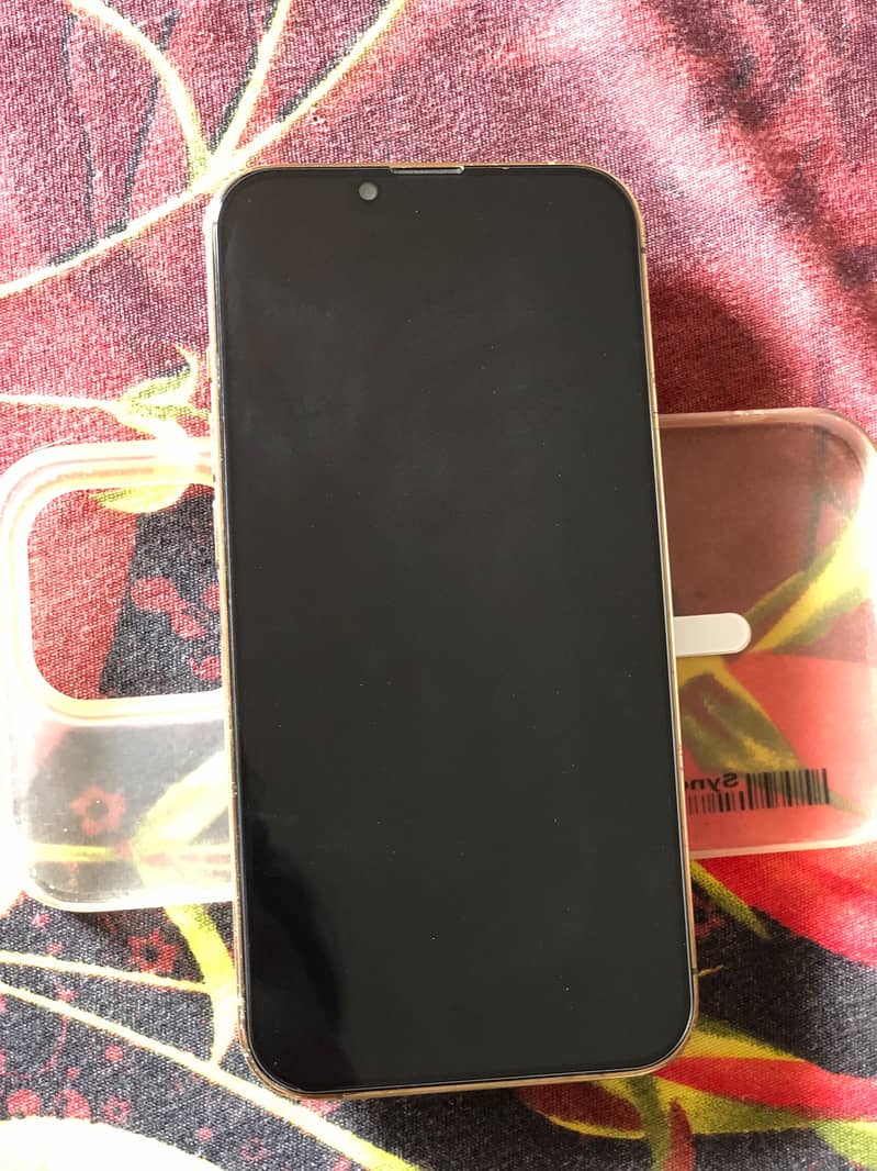 Apple iPhone 13 Pro 1