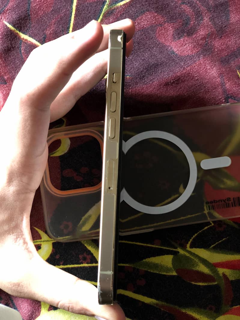 Apple iPhone 13 Pro 2