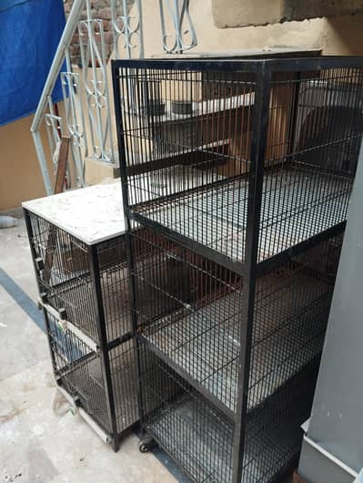 Birds cage for hen and parrots. . . . .