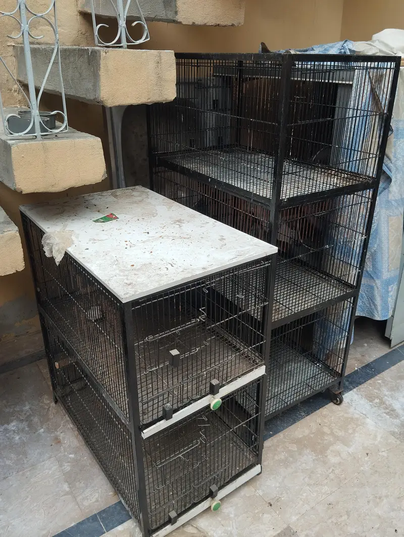 Birds cage for hen and parrots. . . . . — photo 3