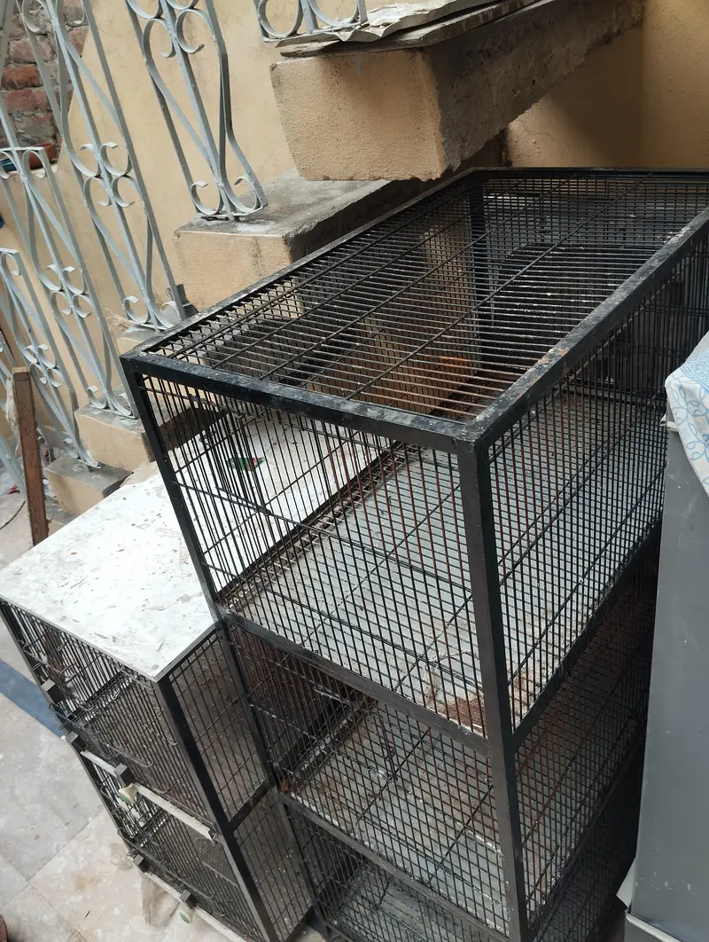 Birds cage for hen and parrots. . . . . — photo 4