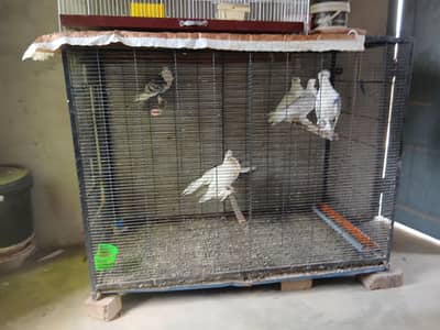 cage 3044349027