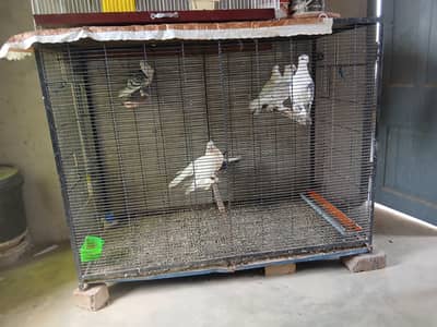 cage with accessories 3044349027