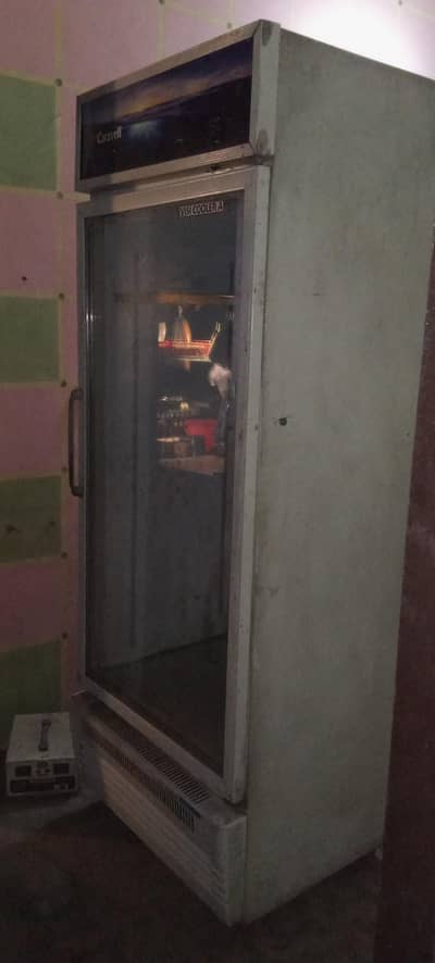 Caravell Visi Cooler / Commercial Glass Door Refrigerator