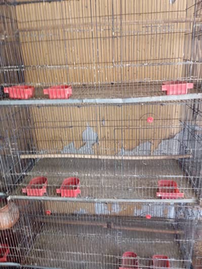 parrot cages 15 peice