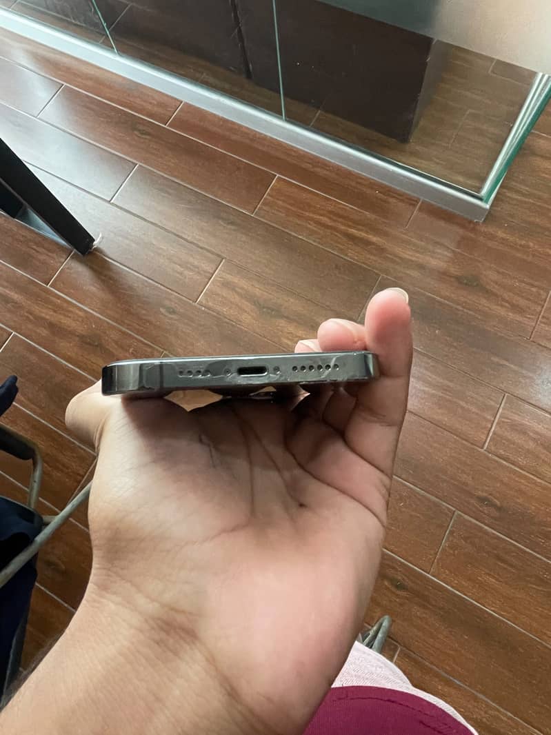 Apple iPhone 13 Pro Max 3