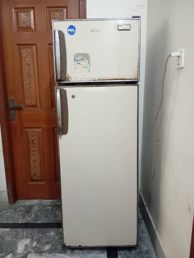 PEL Refrigerator 290L – PR 302 D – Personal Home Use