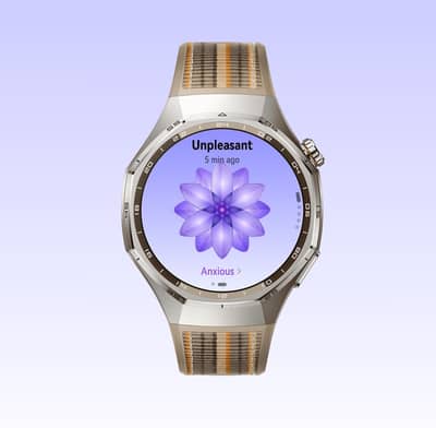 Huawei Watch GT 6 Pro Titanium alloy iOS Android Smartwatch 46mm/BROWN