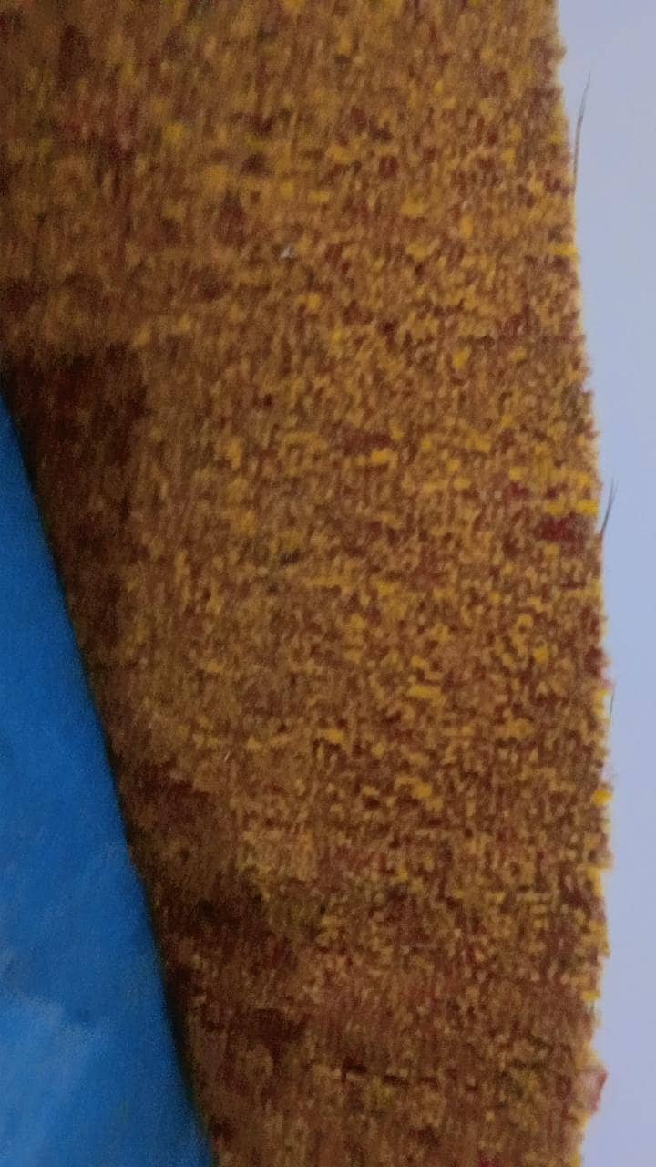 carpet 1