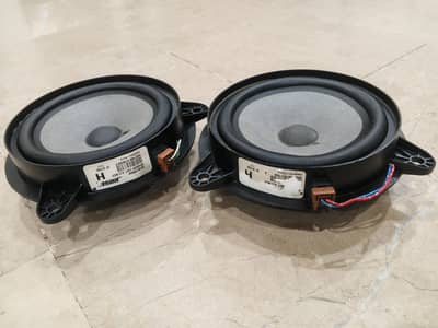 Premium Car Boss Speakers Pair | Powerful Bass | OEM Speakers | 2 Pcs
